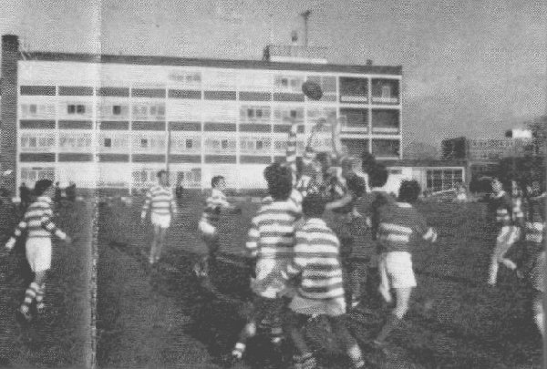 Rugby-b 1965